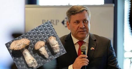 Wrzucił zdjęcia z grzybobrania. Ten obrazek mówi wszystko