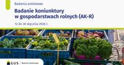GUS zagląda do gospodarstw. Rolnicy ocenią opłacalność, popyt i przyszłość produkcji