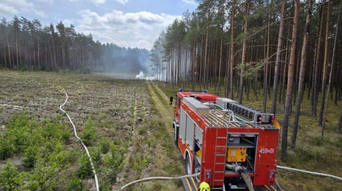 Las w ogniu, służby w akcji. W Nadleśnictwie Lipusz sprawdzano gotowość na najgorszy scenariusz