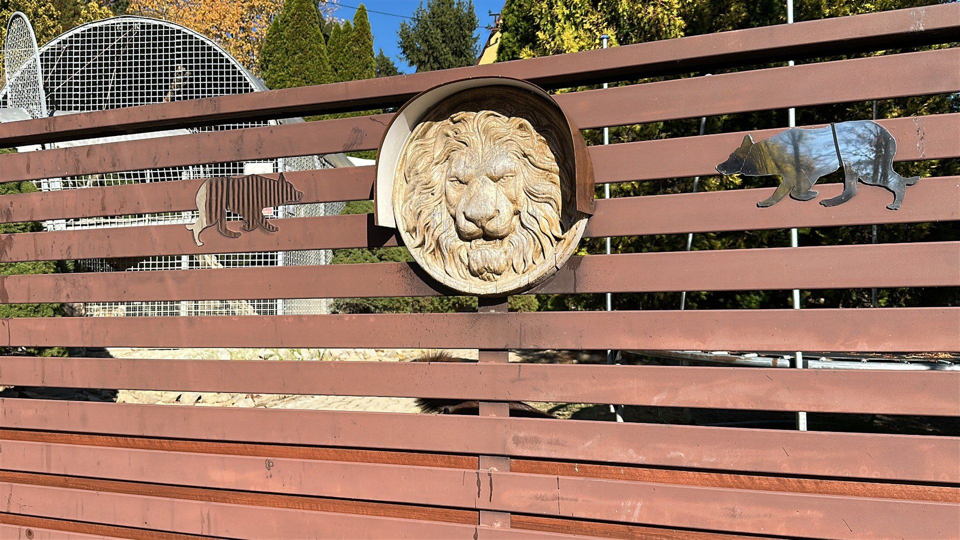 Mieszkaniec Czchowa na swojej posesji hoduje lwa i tygrysa