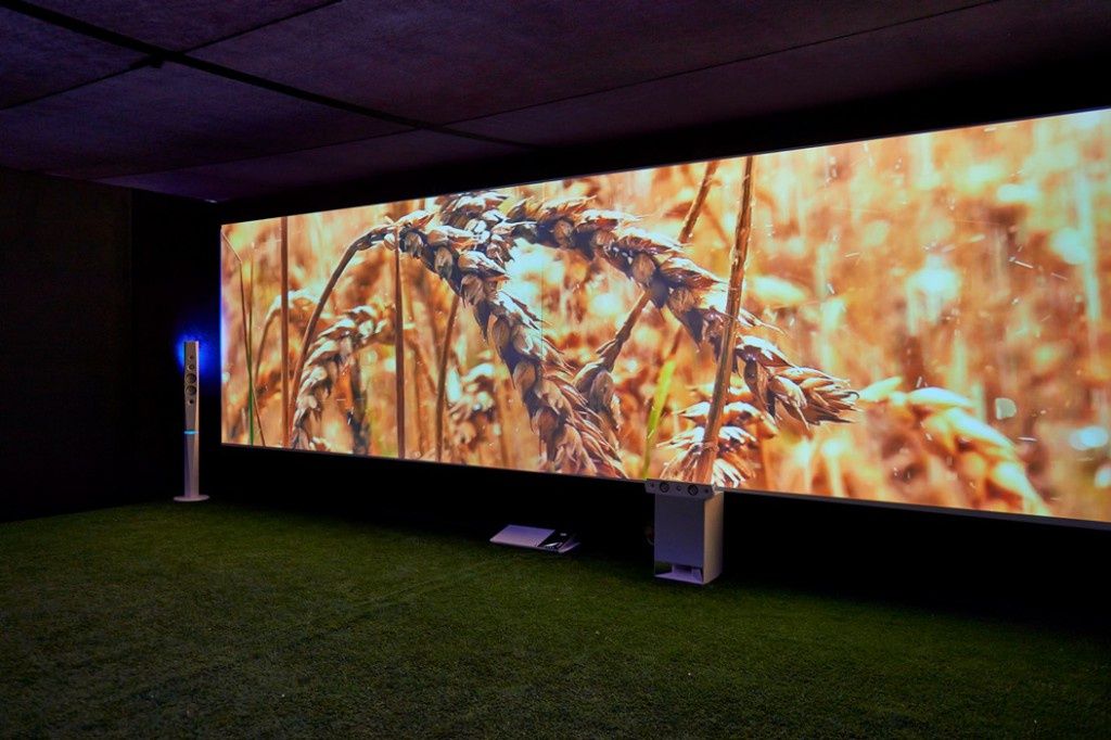 McDonalds_kino-3D-1024x682