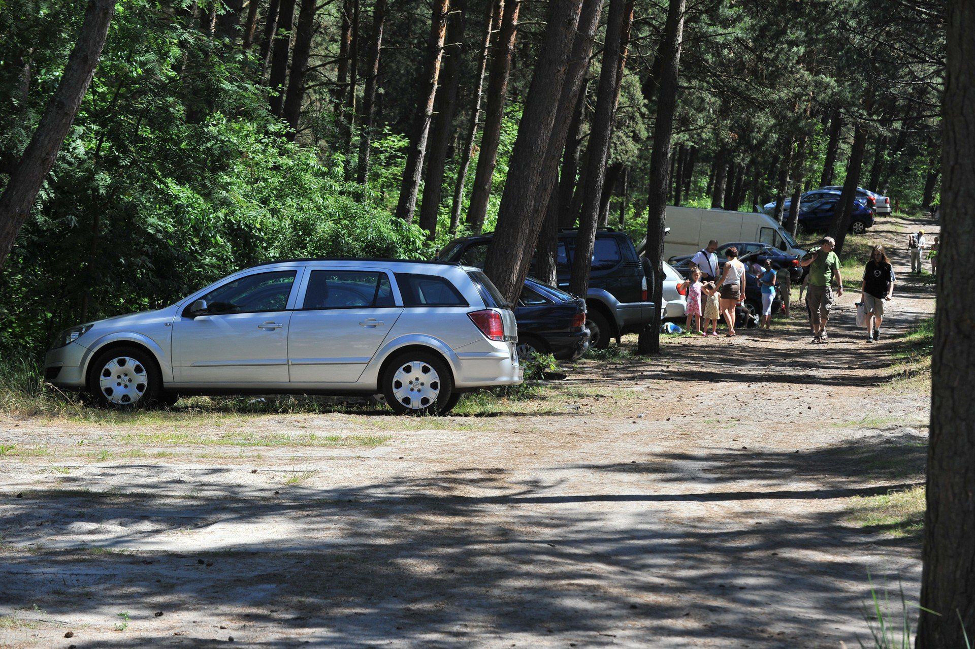 Za złamanie zasad grozi mandat (do 500 zł), a nawet grzywna sądowa. Straż Leśna ma prawo zatrzymać i ukarać.
