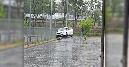 Nie opanowała samochodu na wzniesieniu. Egzamin zakończyła na ogrodzeniu