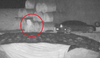 Zatrzymał się oplem. Podłożył ogień. Trwają poszukiwania