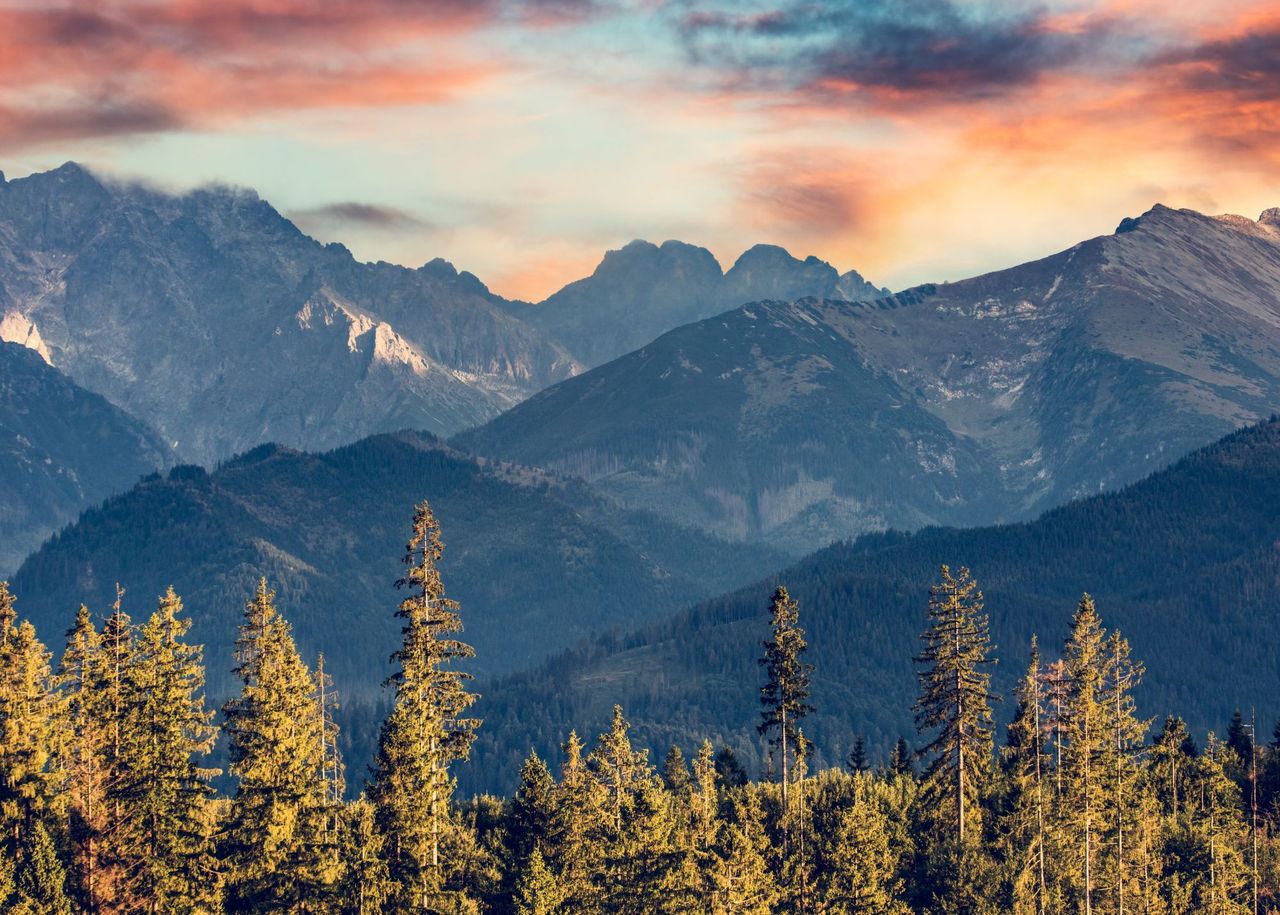 Tatry czy Karkonosze? Nawet miłośnicy gór czasem się mylą