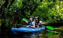 Dzień Ziemi z Operacją Czysta Rzeka - 229 akcji sprzątania i Wielki Wyścig Patyków