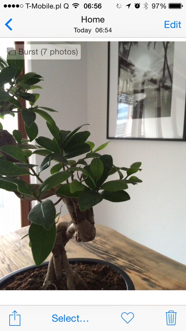 iPhone w końcu z prawdziwym aparatem - czyli co raduje serce fotografa po premierze iOS8. 8