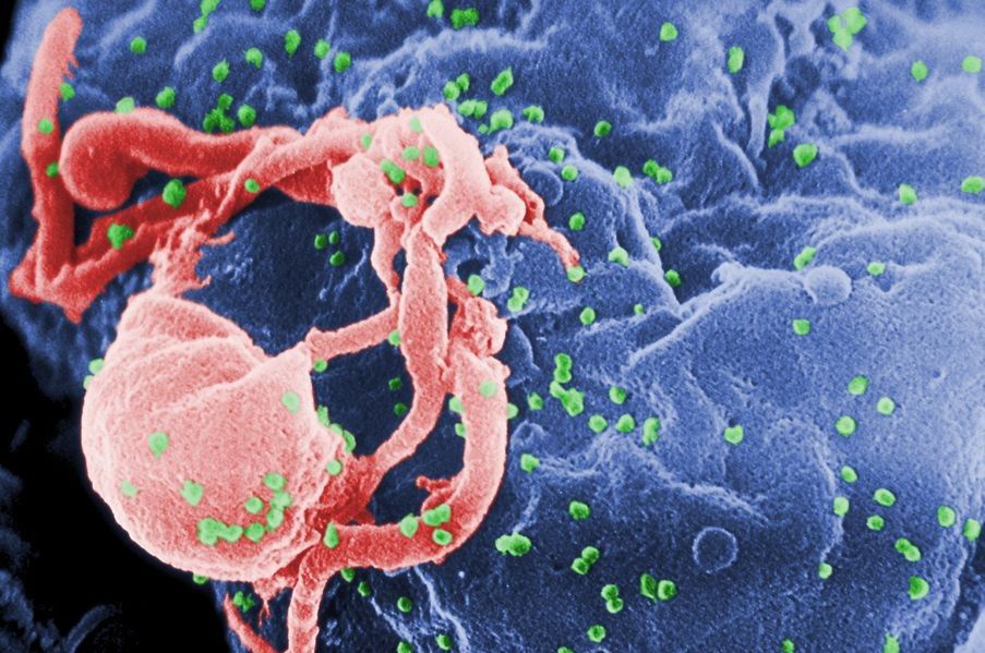Warszawskie Dni Testowania na HIV