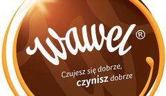 Mets obronił w przetargu obsługę mediową Wawelu