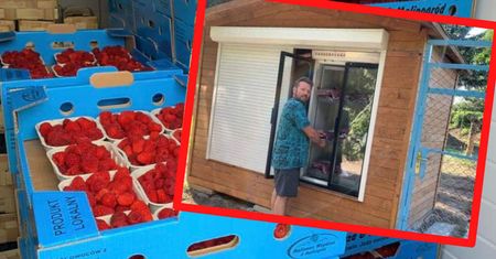 Rolnik otworzył sklep. Nikt nie sprawdzi, czy zapłaciłeś