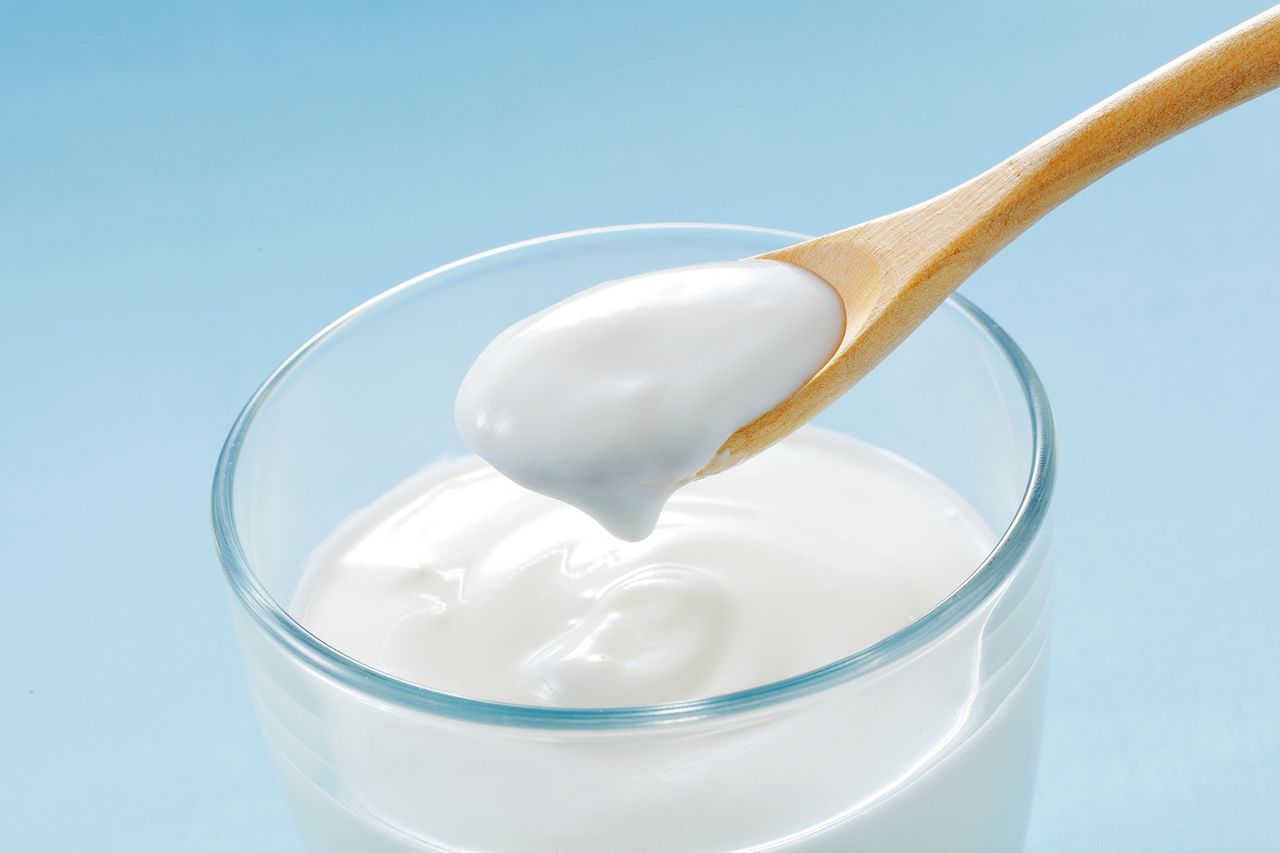 Probiotyki a odporność