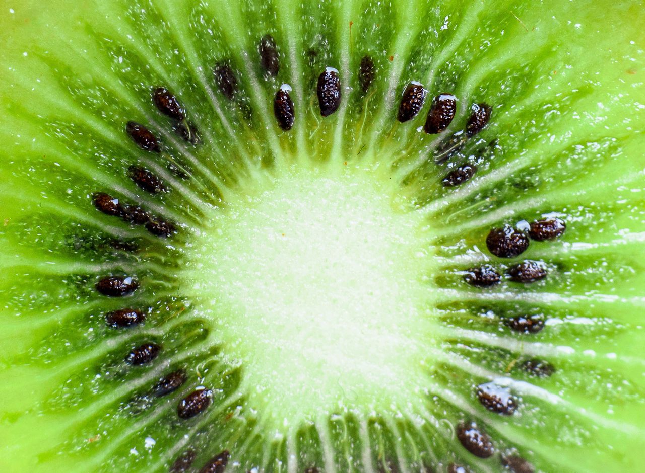 Daily kiwi: The small fruit with big health benefits