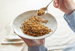 Nowe robaki w menu. UE chce wprowadzić osiem gatunków