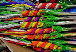 Niedziela Palmowa. Dlaczego święcimy palmy?