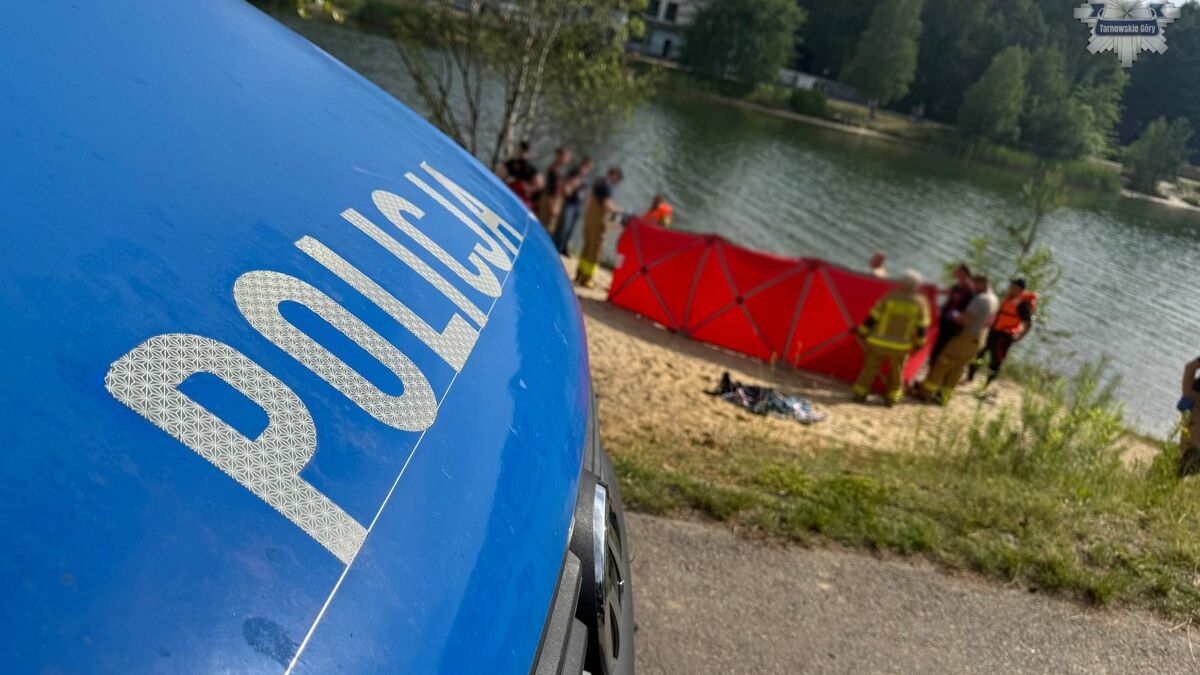 policja