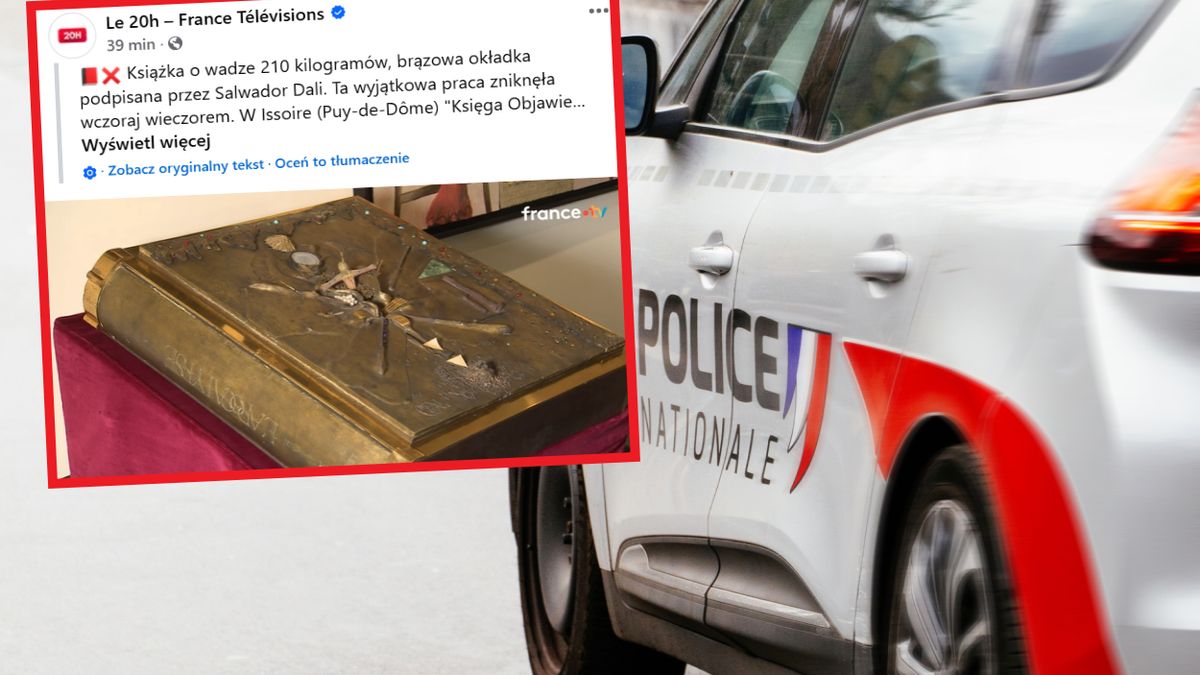 Zuchwała kradzież we francuskim muzeum