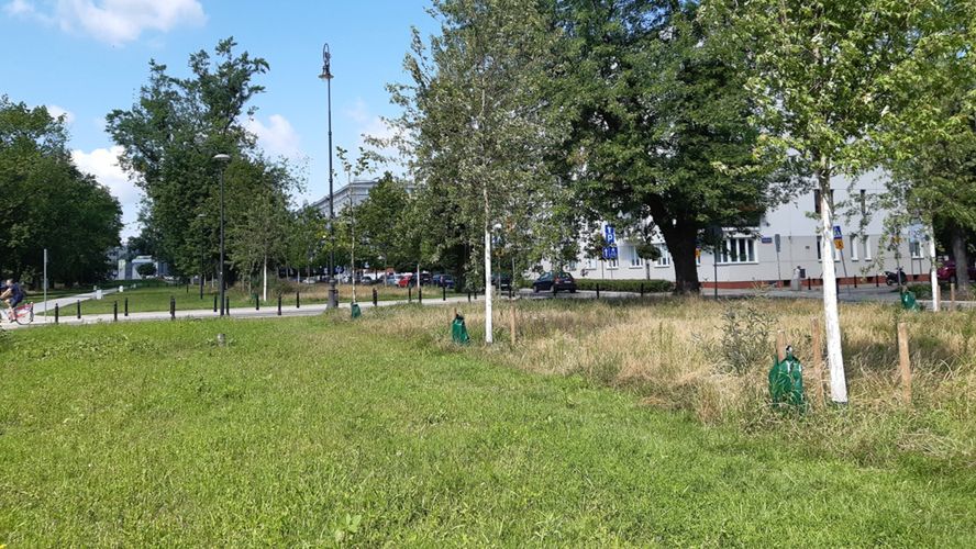 Warszawa. Koszenie trawników