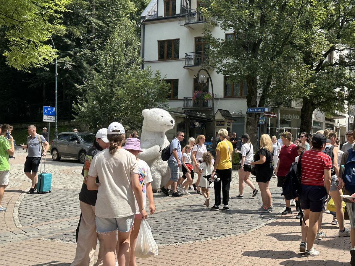 Na Krupówkach już niedługo ma nie być białego misia