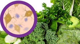 Warzywa zielone przyczyną Alzheimera? Nadmiar żelaza szkodzi mózgowi człowieka   