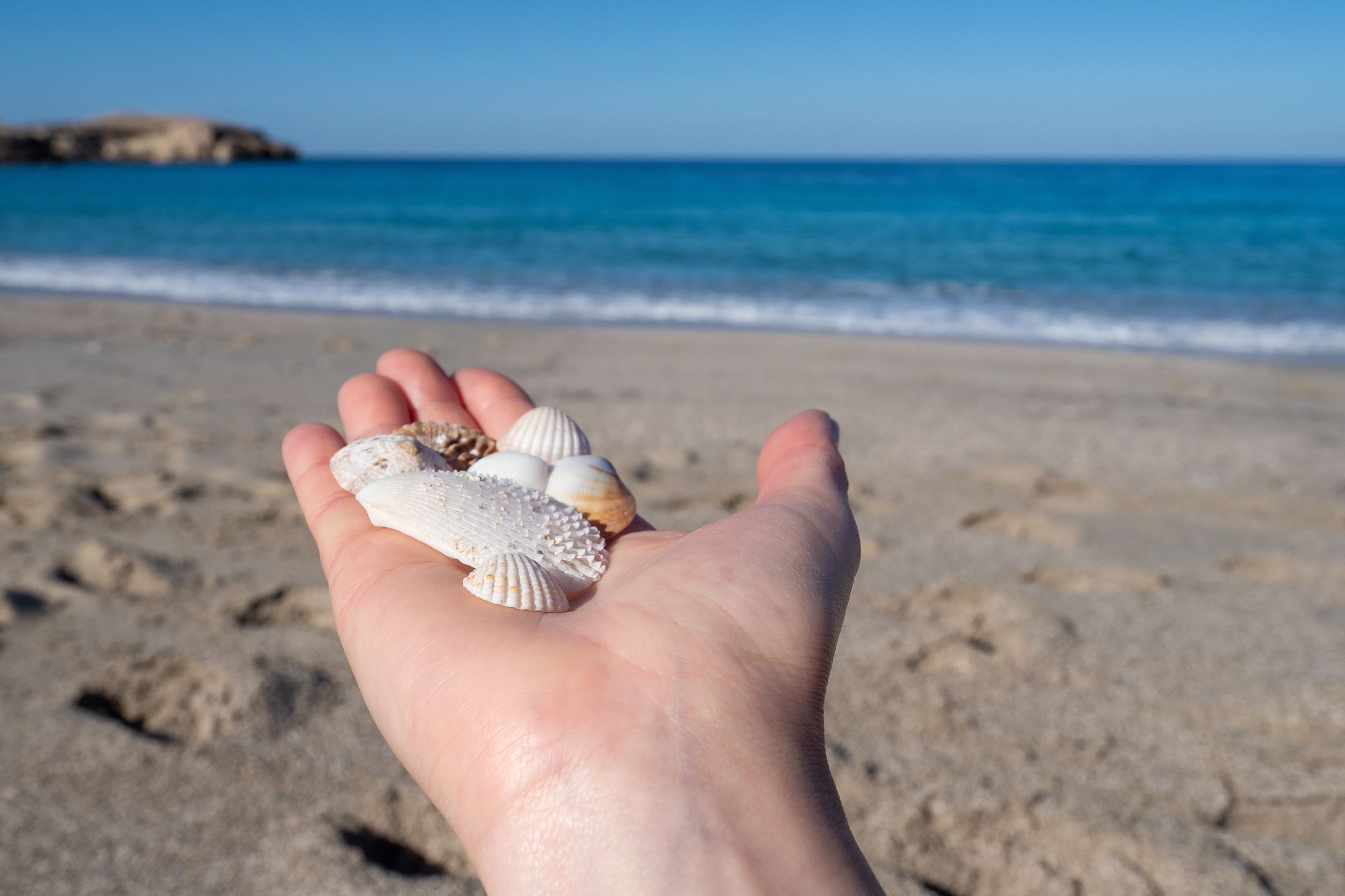 Lepiej powstrzymać się od zbierania muszli na greckich plażach 