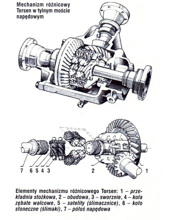 Elementy mechanizmu różnicowego Torsen