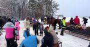 Hit na Kaszubach. W weekendy zjeżdżają tłumy