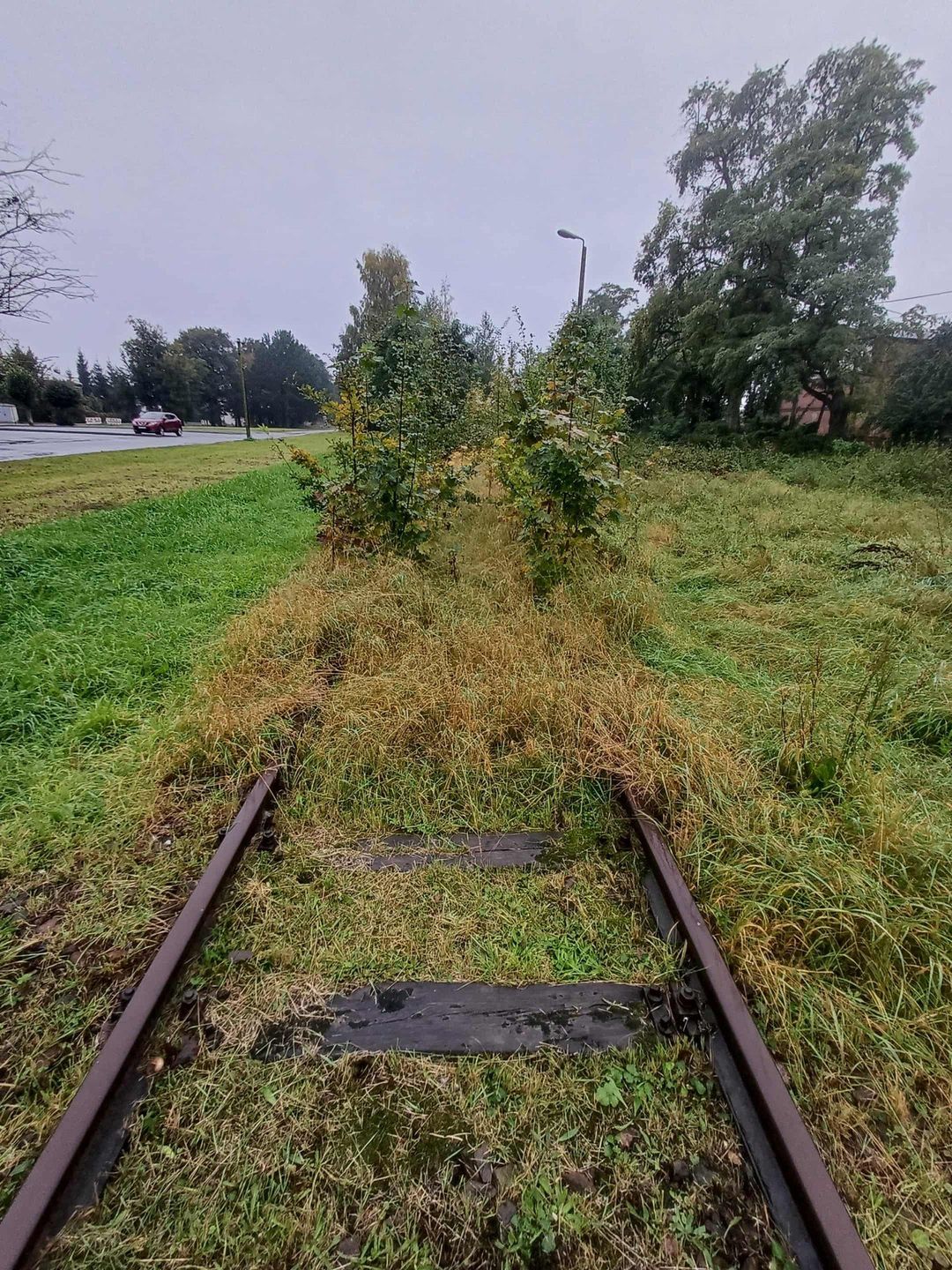Czy wróci pociąg przez Nowy Staw do Nowego Dworu Gdańskiego?