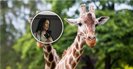 Prawie 170 tys. zł dla byłej prezes zoo we Wrocławiu. Otrzymała odprawę i "odszkodowanie"