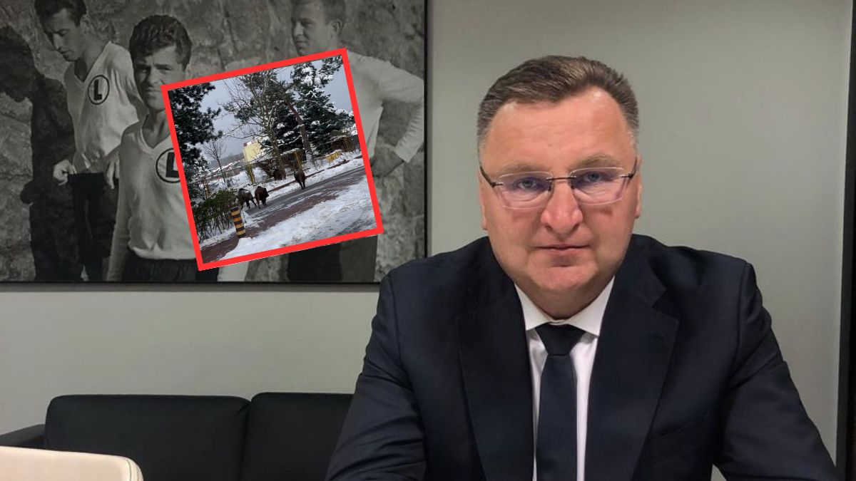 Czesław Michniewicz pokazał, co go spotkało