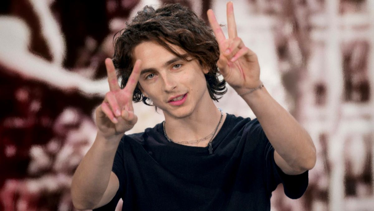 Timothée Chalamet rozstał się córką Deppa. Znalazł już nową partnerkę?