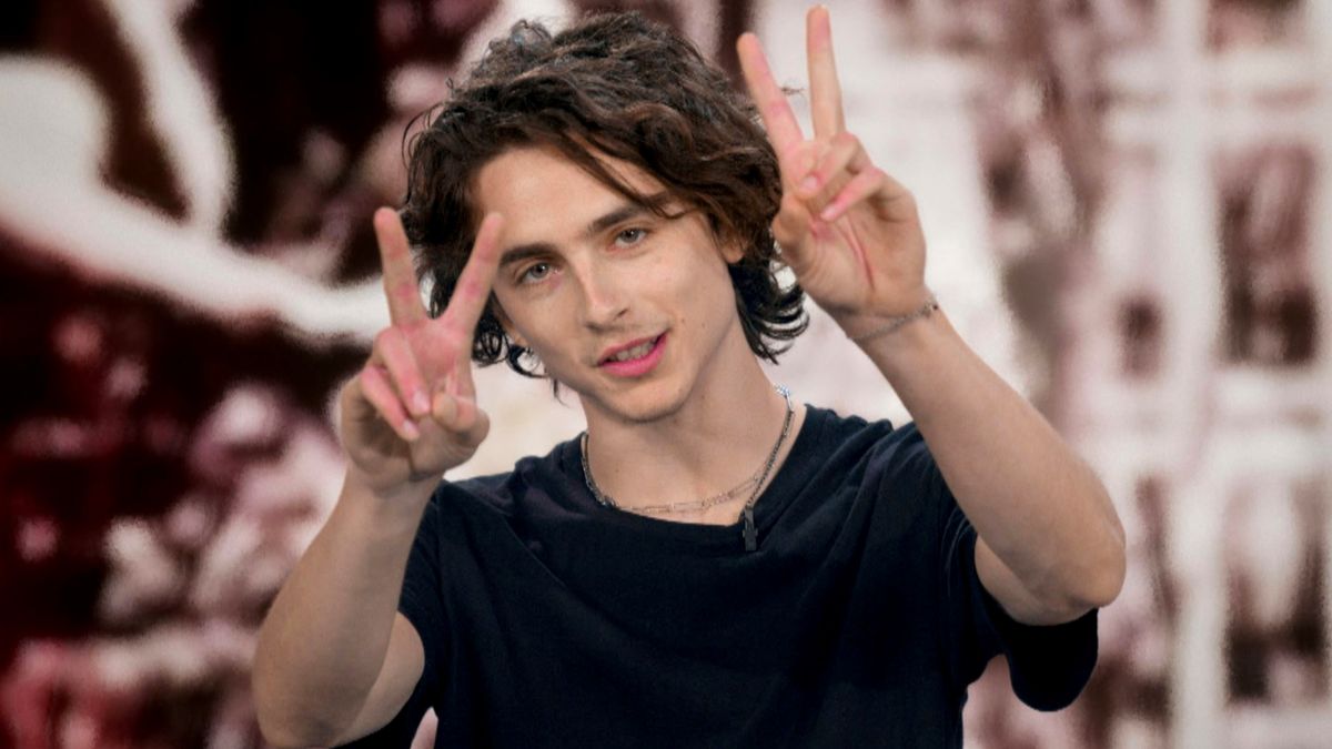 Timothée Chalamet rozstał się córką Deppa. Znalazł już nową partnerkę?