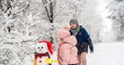 Woj. śląskie: Ferie zimowe 2026. Zostajesz na miejscu? Sprawdź, jakie atrakcje przygotowały miasta
