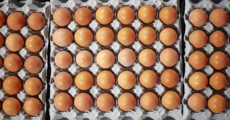 Salmonella na skorupkach jaj. Natychmiast wyrzuć do kosza!