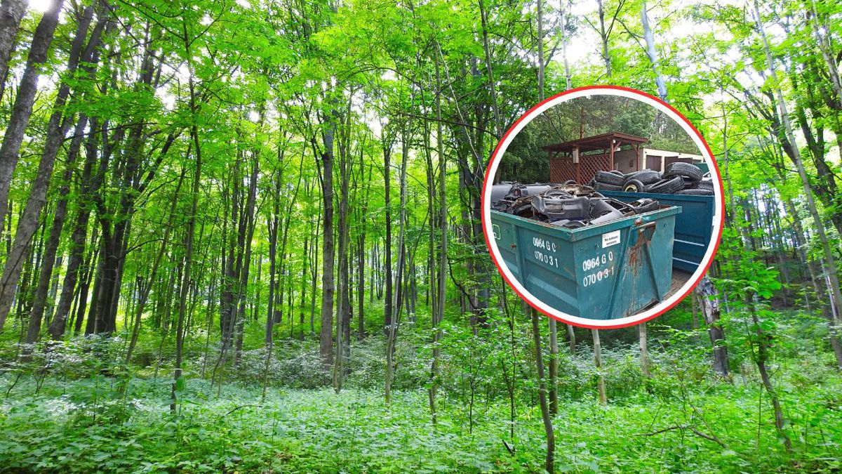 Las tonie w śmieciach. Leśnicy z Celestynowa alarmują