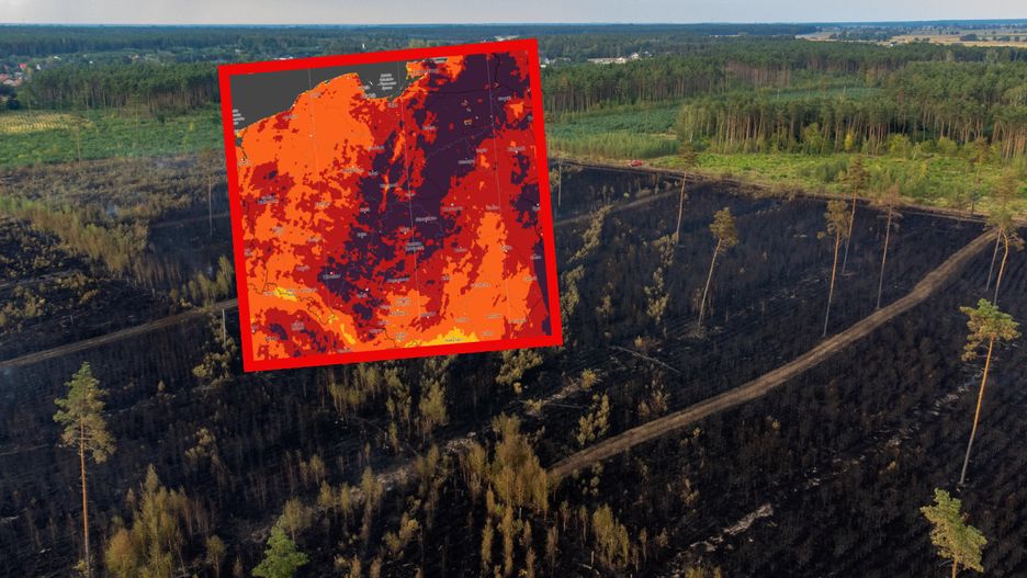 Rośnie zagrożenie pożarowe w lasach