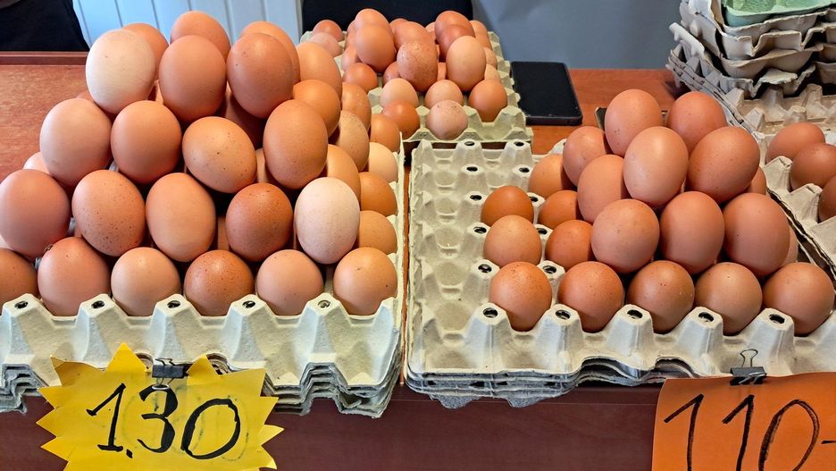 Rynek jaj w Polsce jest stabilny pomimo wzrostu cen. Ministerstwo i producenci uspokajają przed świętami