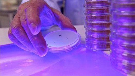 Lampy dezynfekujące bezpieczne dla ludzi? 1