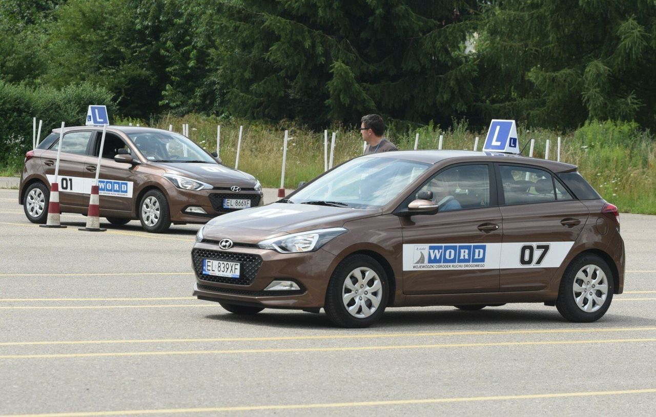 Prawo jazdy kategorii B. Jak uzyskać prawo jazdy w 2025 roku? Procedura krok po kroku