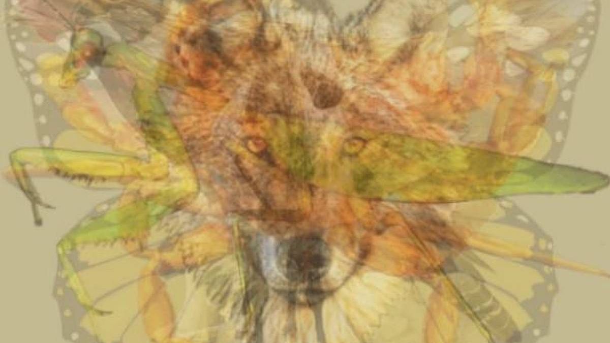 To, jakie zwierzę zobaczysz w pierwszej kolejności, ma znaczenie