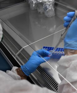 Koronawirus. Prawie 26 tys. zakażeń w Polsce. We Wrocławiu przybyło 604 chorych, 5 osób zmarło