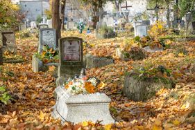 Cmentarz przy al. Powst. Wlkp. w Pile, dawny, stary, Piła