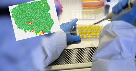 Koronawirus. Strefy czerwone i żółte w Polsce. MAPA