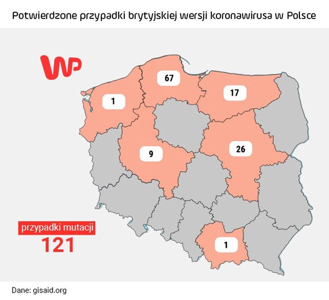 Koronawirus w Polsce. Epidemia przyspiesza. To efekt brytyjskiej mutacji?