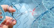 Kim są tajemniczy przodkowie? Mamy 20 proc. ich DNA