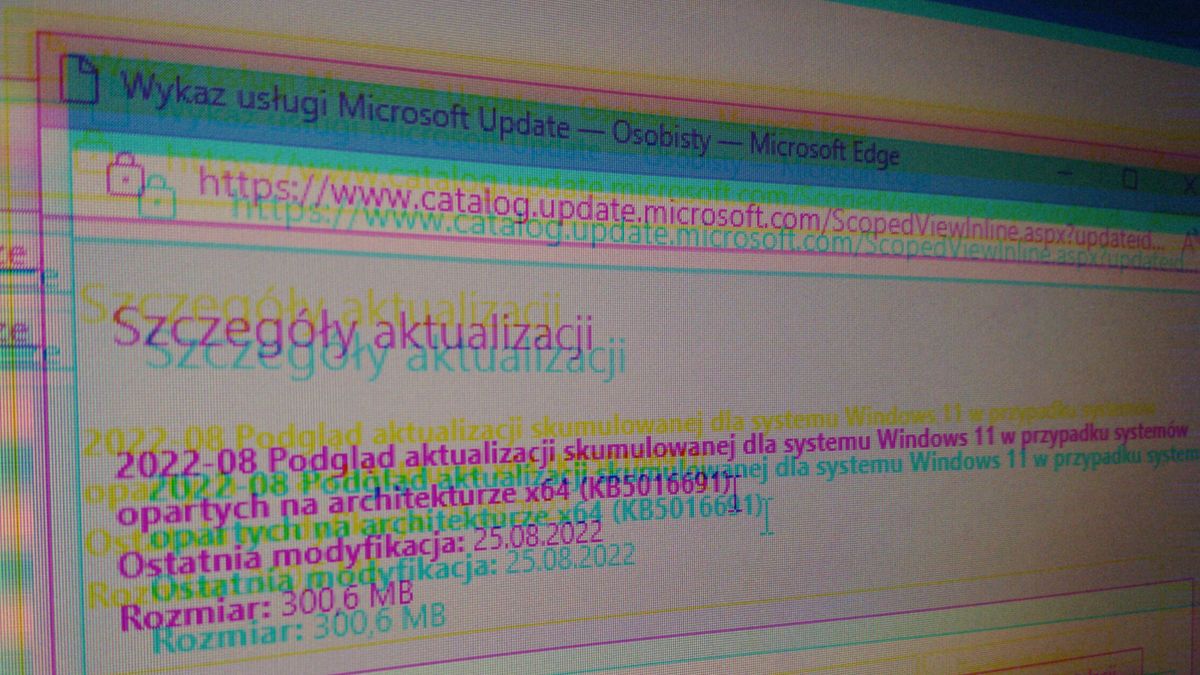 Windows 11: czy czekają nas jeszcze innowacje?
