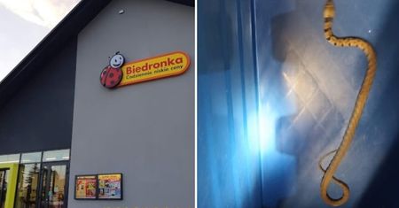 Panika w Małopolsce. Trzeba było ewakuować całą Biedronkę