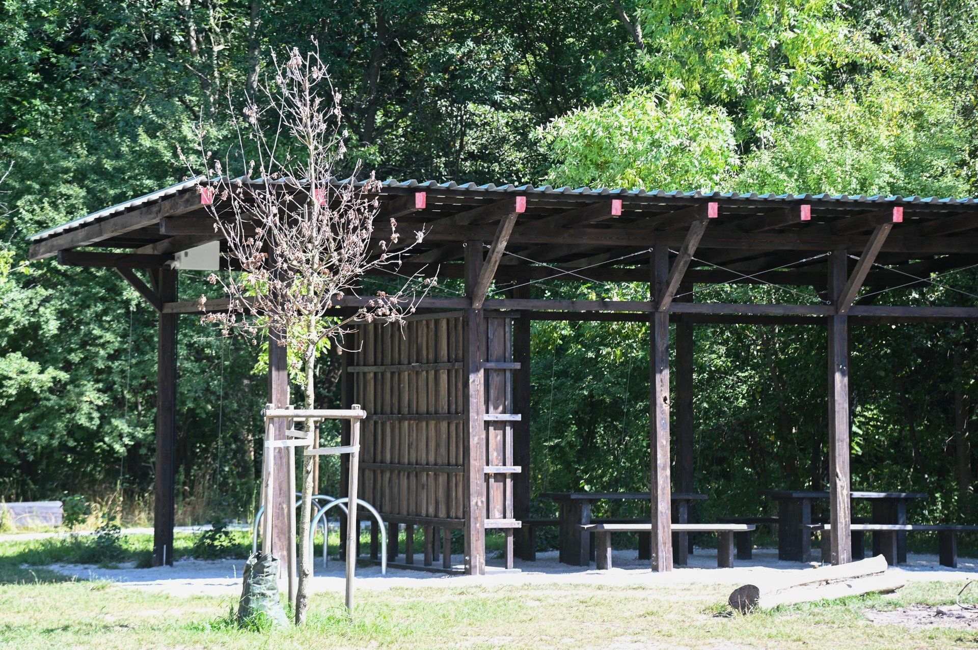 Park Aktywności Rodzinnej