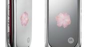 Motorola PEBL Rose Bloom dla Zakochanej