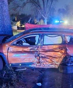 Aleksandrów Łódzki. Fatalny wypadek. Nie żyją dwaj motocykliści i pasażerka