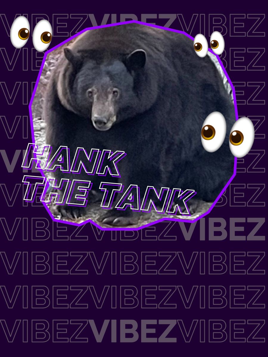 Hank the Tank hitem Twittera. Dlaczego niedźwiedź plus size jest na celowniku służb?